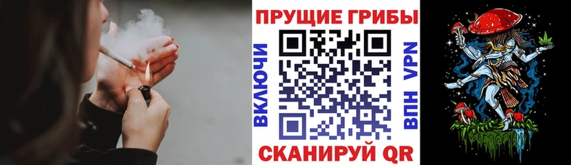 гидра вход Ухта Псилоцибиновые грибы ЛСД